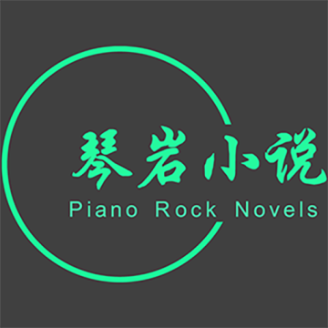 琴岩小说