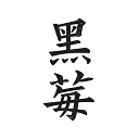 黑莓浏览器app官方版下载