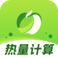 热量计数器软件下载