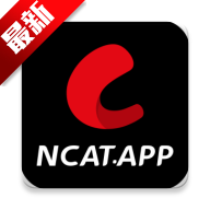 网飞猫
