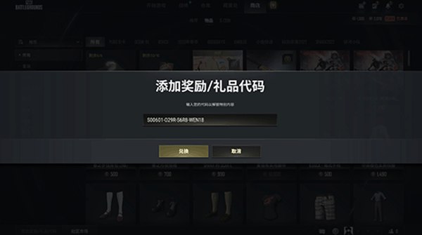如何激活绝地求生CDKEY截图2
