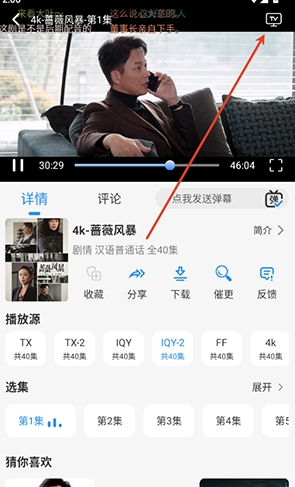 鱼儿4k纯净版