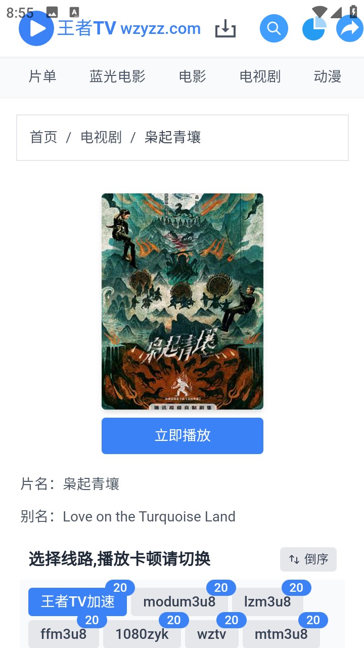 王者TV影视