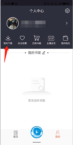 下载的音频在哪里截图2