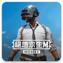 PUBGMOBILE台服