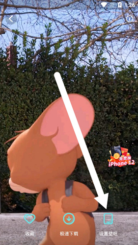 主题壁纸大全app设置壁纸教程2