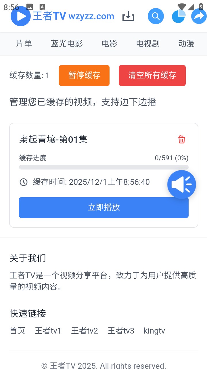 王者TV影视