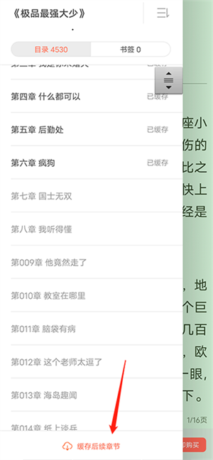 下载小说教程截图3