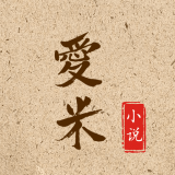 爱米小说app下载