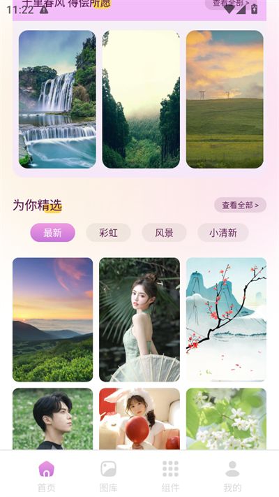 回音鸟