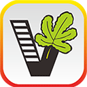 我要自学网app下载