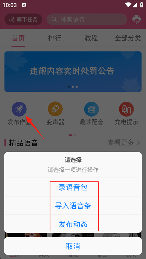 添加配音3