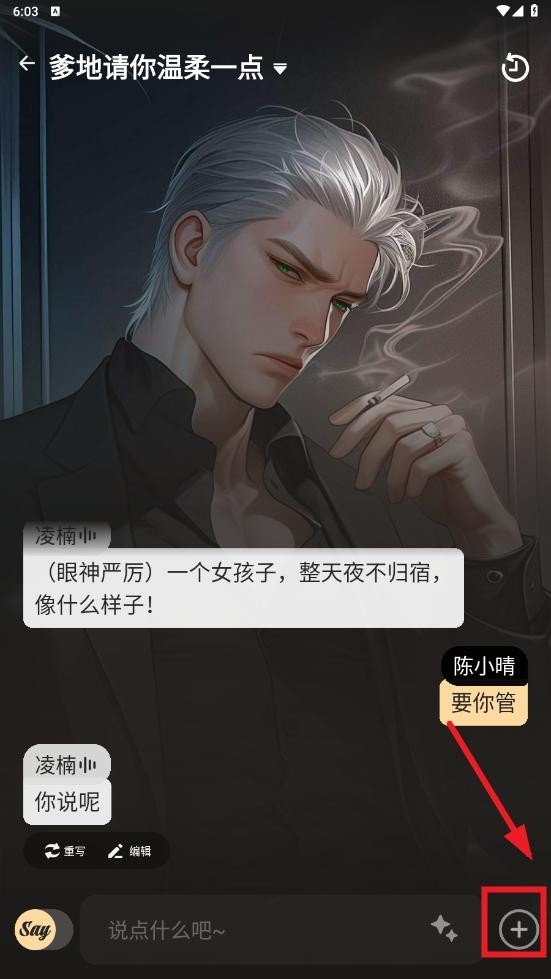 saylo虚拟软件