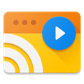 Web Video Caster投屏