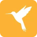 小黄鸟抓包app官方版下载