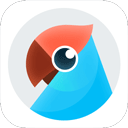 有道在线翻译破解版