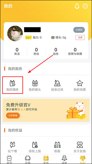 友猫