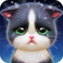 小猫爱消除手游