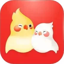 婚前婚后app下载