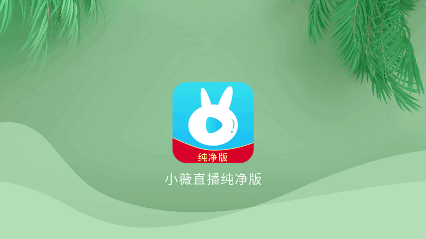 小薇直播电视版2025
