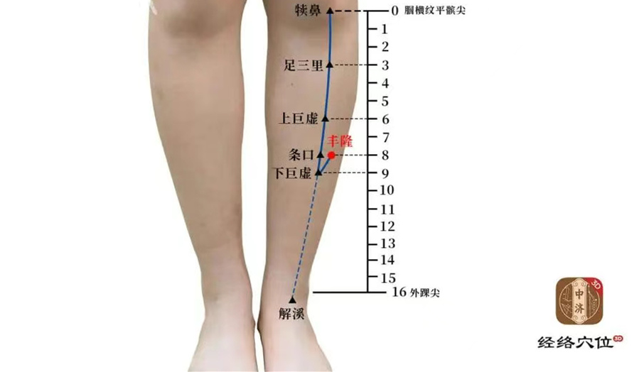 丰隆穴