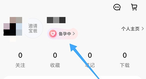 丁香妈妈