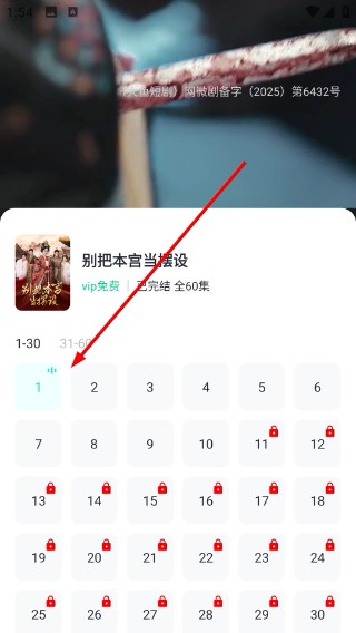 大鱼短剧