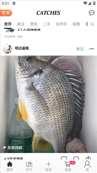 Catches