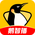 企鹅体育下载安装最新版