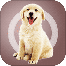 人狗交流器app下载手机版
