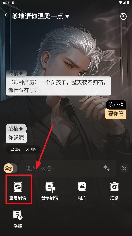 saylo虚拟软件