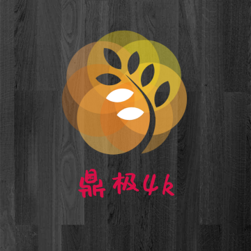 鼎极4k