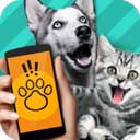 Pet Translator宠物对话翻译下载