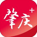 肇庆+app官网下载