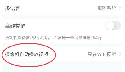 小鹰看看