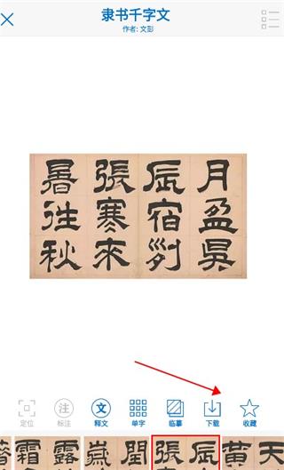 以观书法