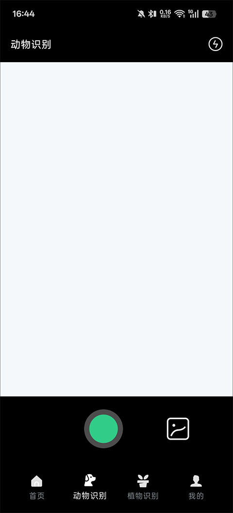 动物百科