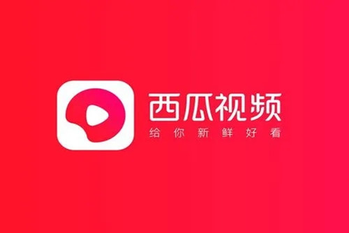 赚金币