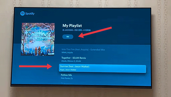 Spotify tv版