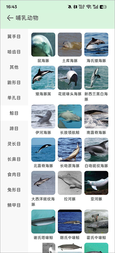 动物百科