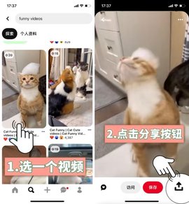 Pinterest