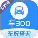 车300专业版app官方版下载