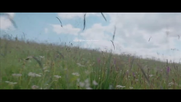 完美tv直播安卓版