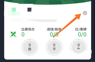 绿茵场