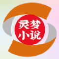 灵梦小说app下载