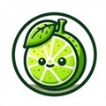 Lime3DS模拟器安卓版下载
