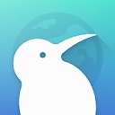 Kiwi Browser浏览器最新版本下载