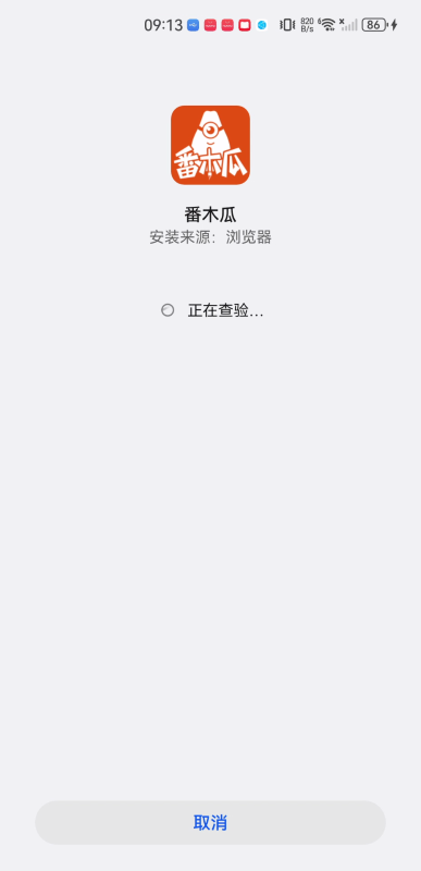 番木瓜