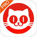 猫眼票房专业版app官方下载