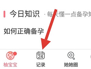 柚宝宝孕育